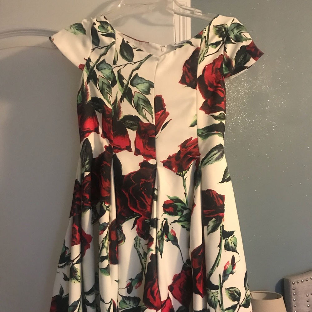Chasing fireflies holiday dress